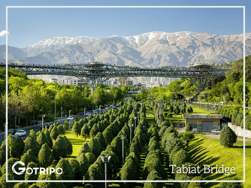 Best Time to Visit the Tabiat Bridge